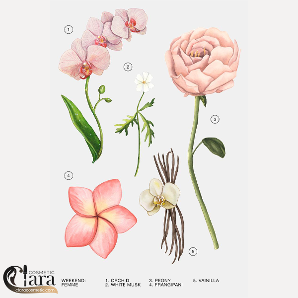 ساخص 4 عطر زارا