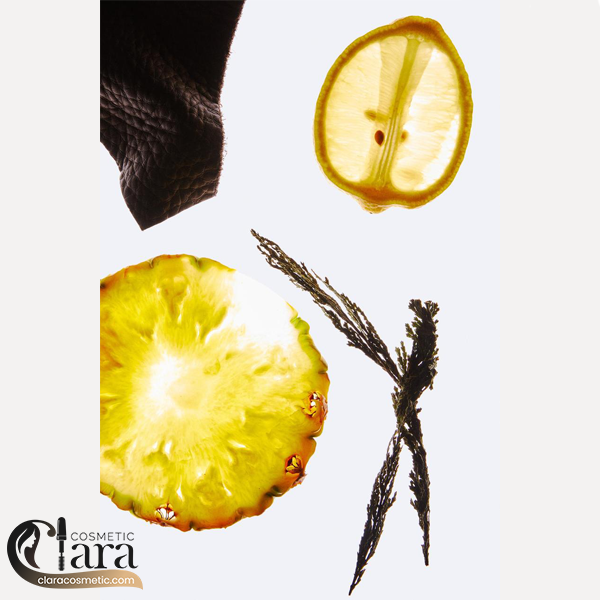 شاخص-عطر-زارا-بوگاتس-4