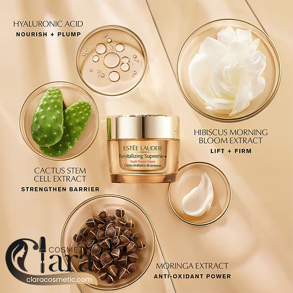 کرم ضد چروک و جوانساز استی لودر