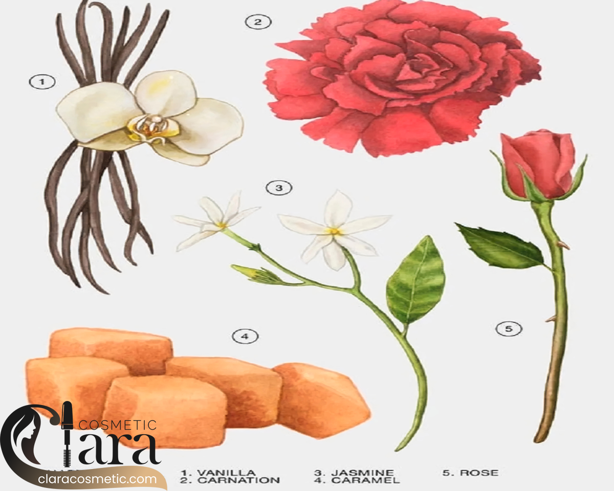 ادکلن زنانه مدل ROSE GOURMAND برند ZARA