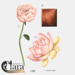 خرید ادکلن اورجینال زارا لایتلی بلوم