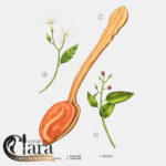 قیمت ادکلن اورجینال زارا فیلدز ات نایت فال