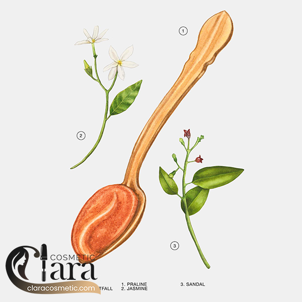 قیمت ادکلن اورجینال زارا فیلدز ات نایت فال قیمت ادکلن اورجینال زارا فیلدز ات نایت فال