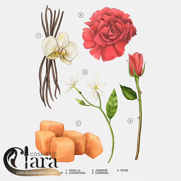 قیمت عطر رز گورمند زنانه زارا