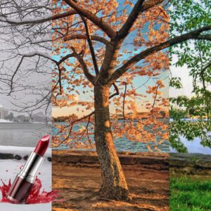 انتخاب بهترین رنگ رژ لب بر اساس فصل