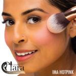 رژگونه پودری تکی the Balm