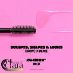 ژل ابروی 24 ساعته Brow Setter بنفیت