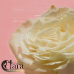 عطر زنانه زارا مدل واندر رز (Wonder Rose)